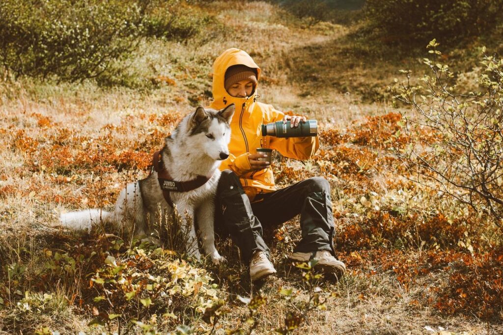 animal de poder cachorro perseverança