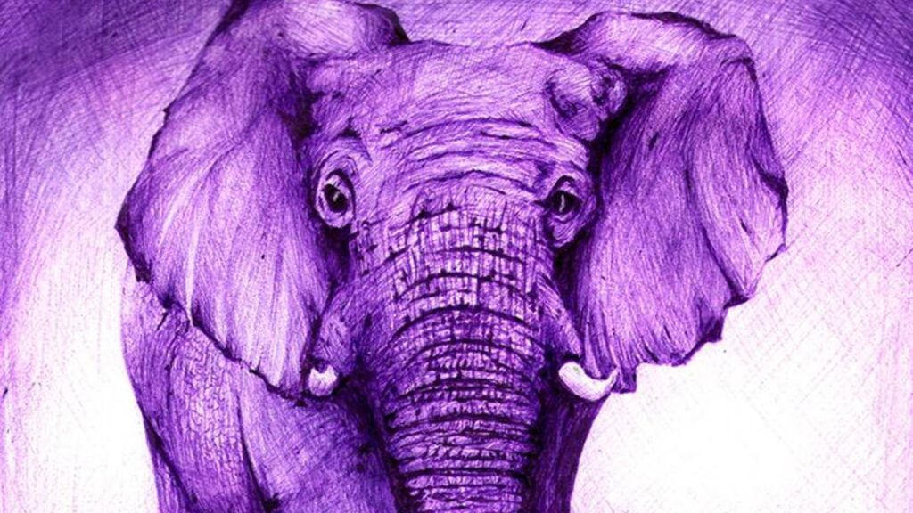 Significado sonhar com elefante roxo