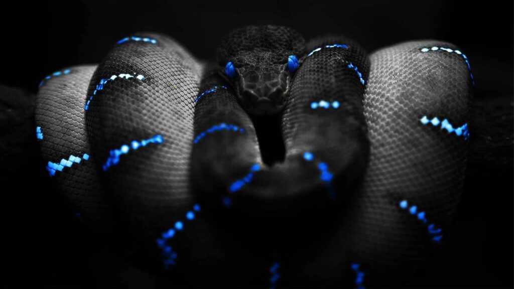 O que significa Sonhar com Cobra Azul?