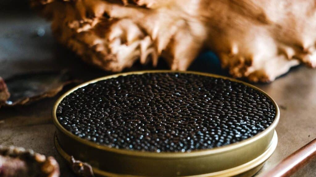 sonhar com caviar