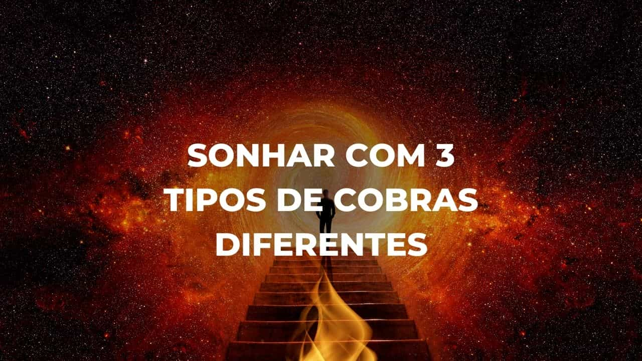 Sonhar com 3 tipos de cobras diferentes