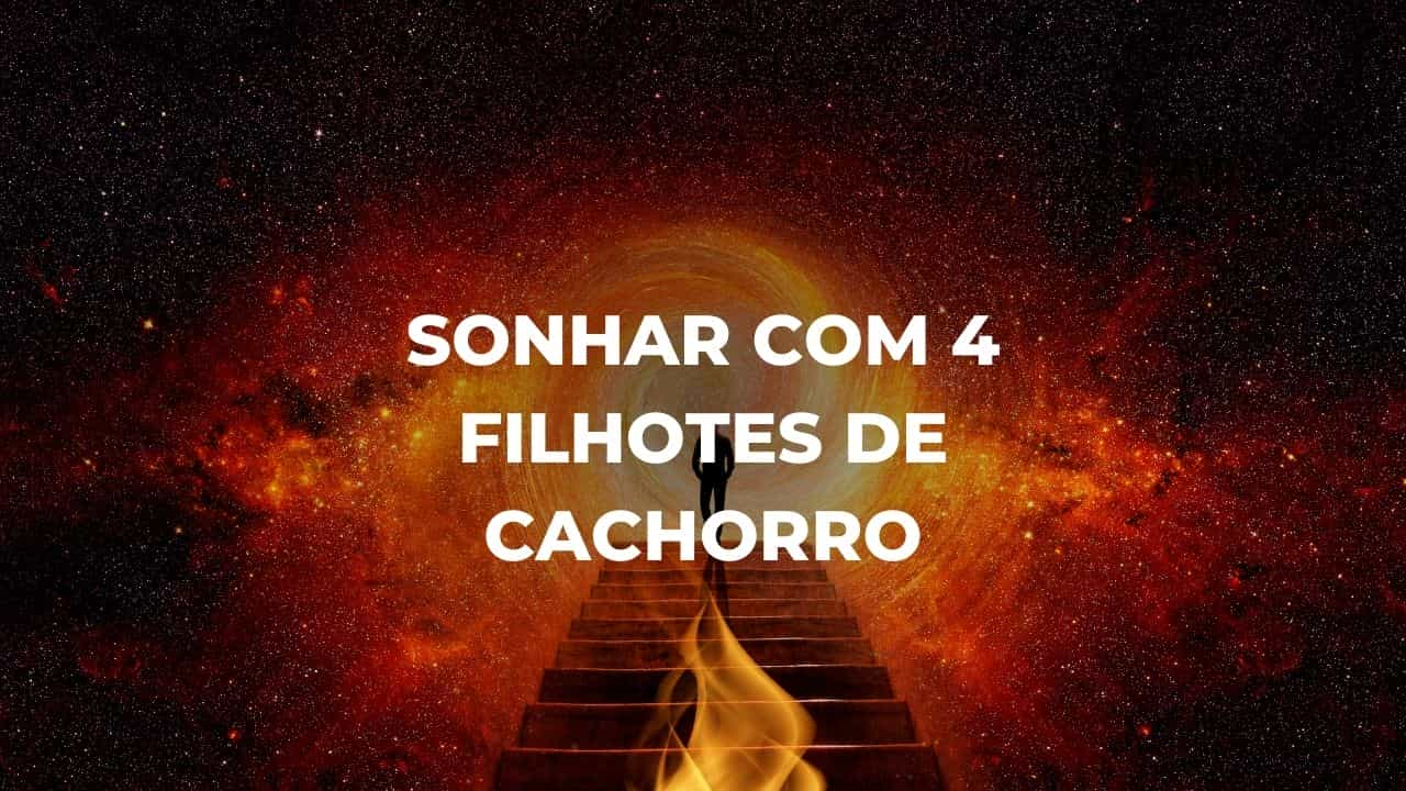 Sonhar com 4 filhotes de cachorro