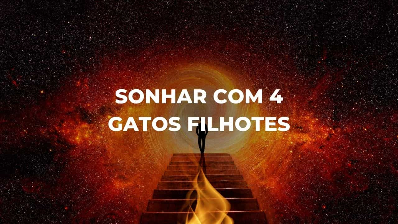 Sonhar com 4 gatos filhotes