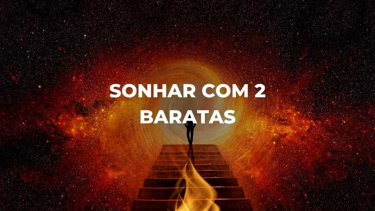 Sonhar com 2 baratas