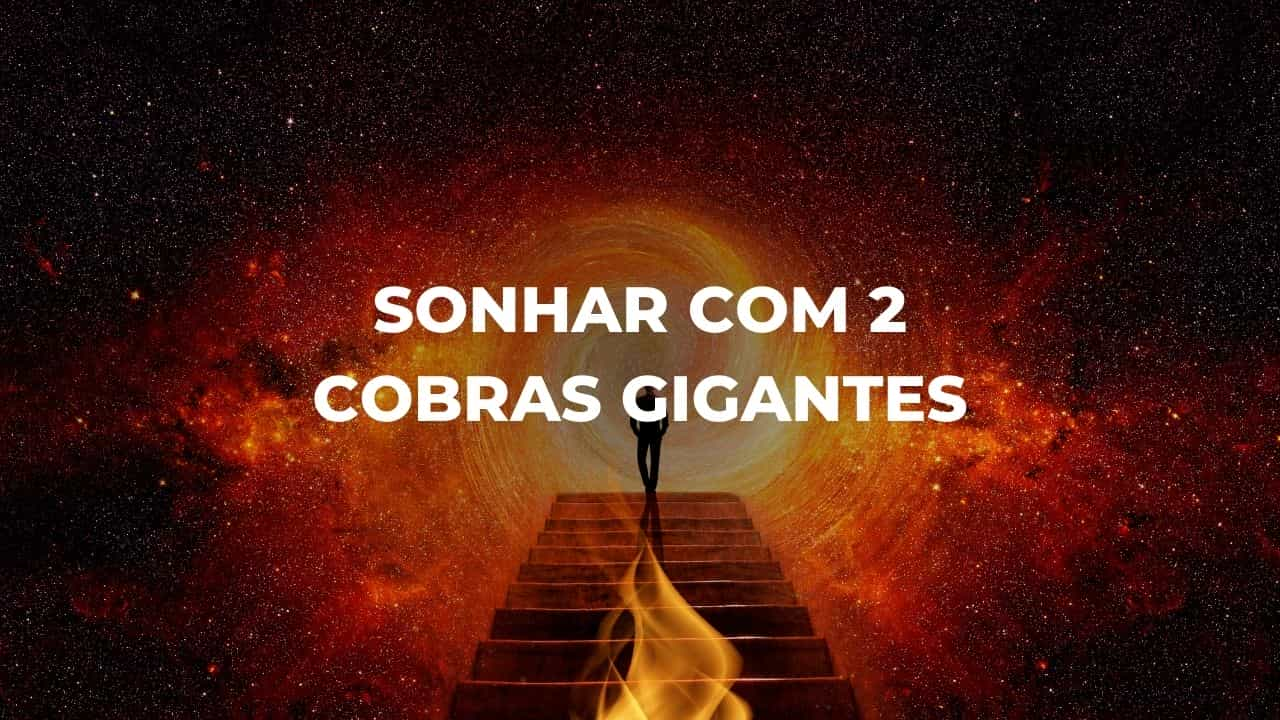 Sonhar com 2 cobras gigantes