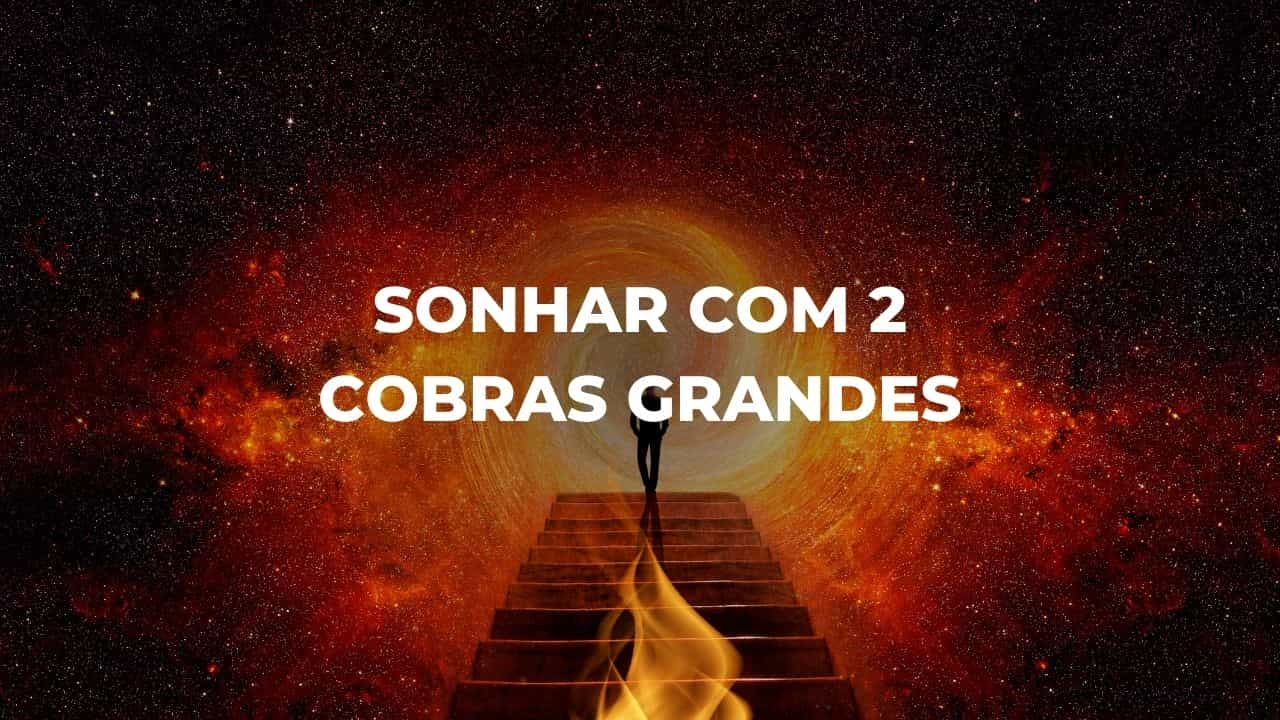 Sonhar com 2 cobras grandes