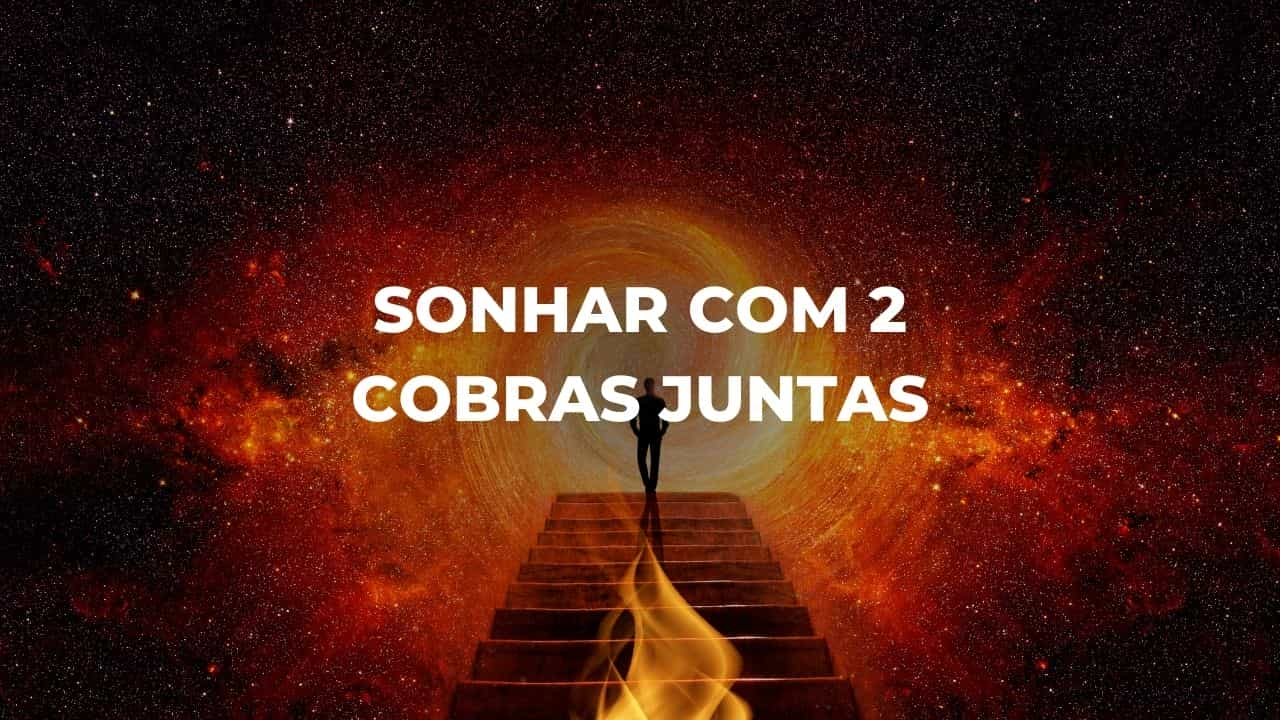 Sonhar com 2 cobras juntas