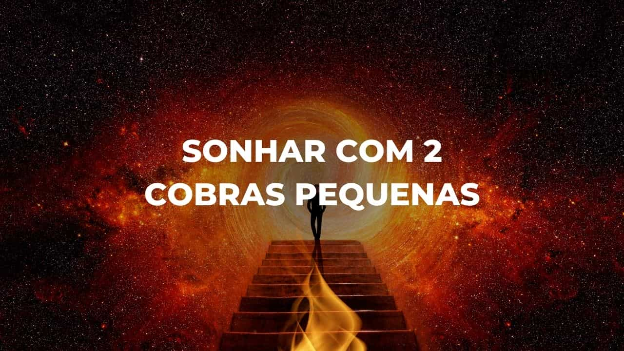 Sonhar com 2 cobras pequenas