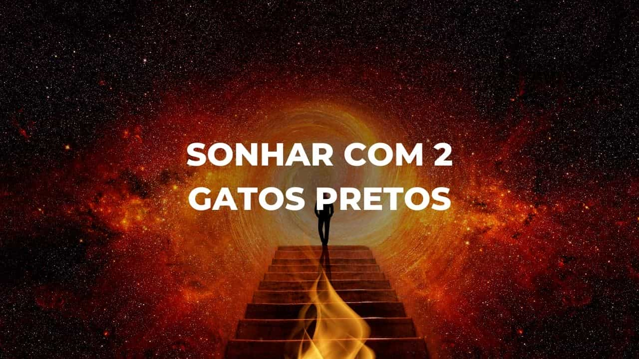 Sonhar com 2 gatos pretos