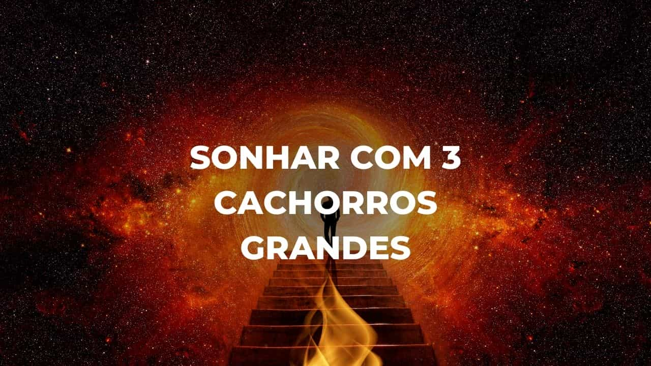 Sonhar com 3 cachorros grandes