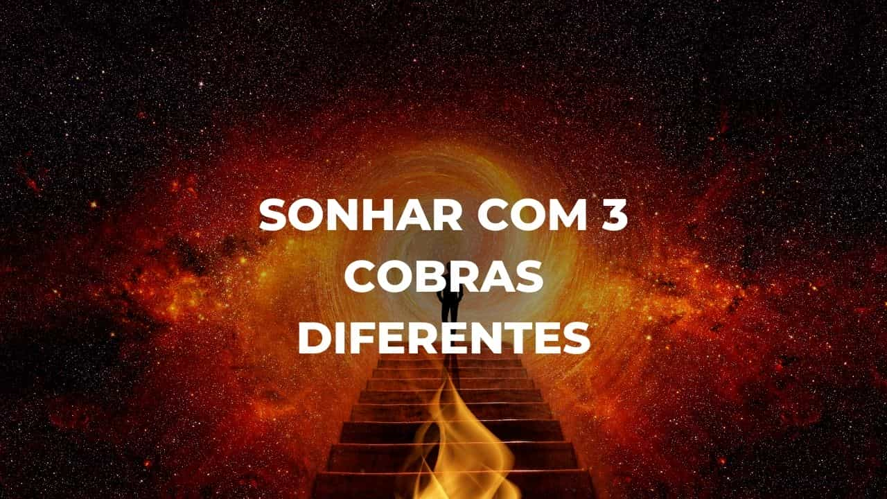 Sonhar com 3 cobras diferentes