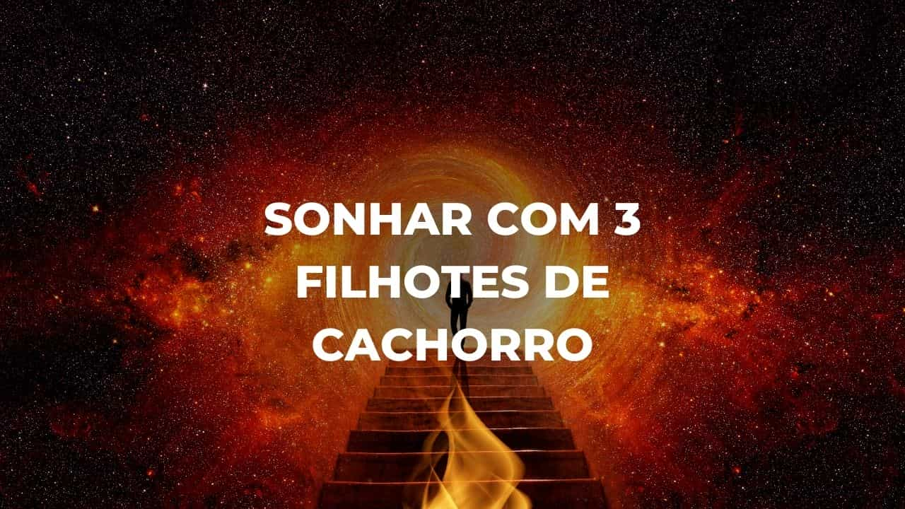 Sonhar com 3 filhotes de cachorro