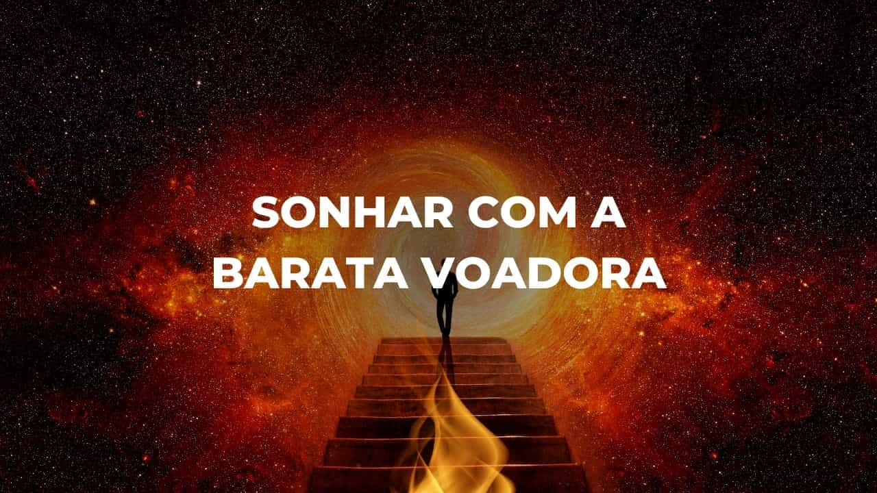 Sonhar com a barata voadora