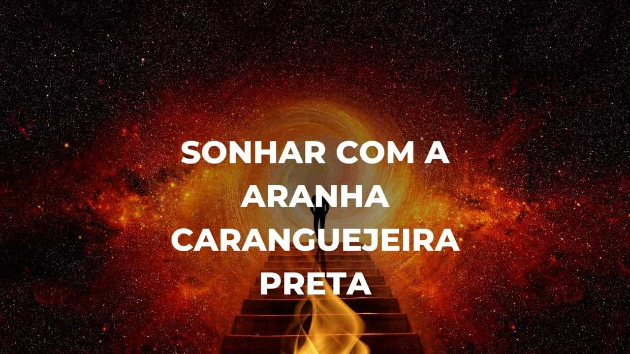 Sonhar com a aranha caranguejeira preta