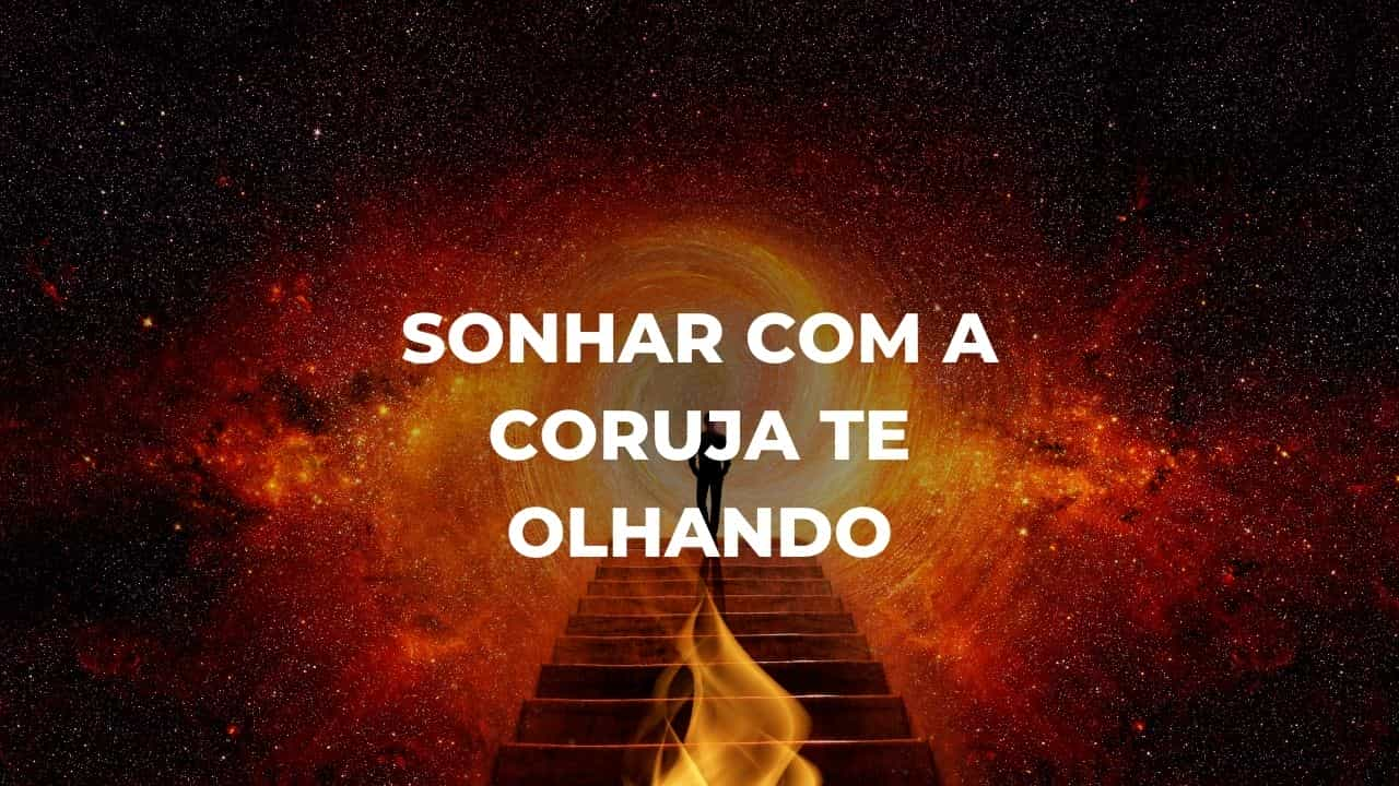 Sonhar com a coruja te olhando