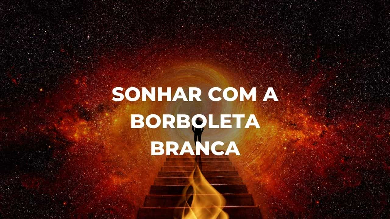 Sonhar com a borboleta branca