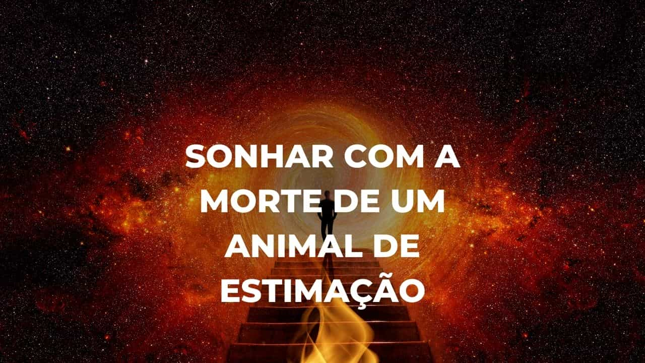 Sonhar com a morte de um animal de estimação