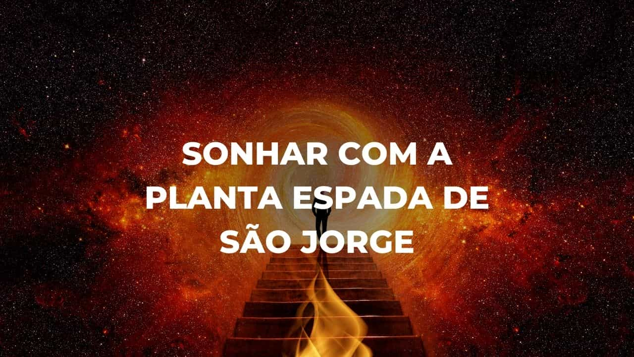 Sonhar com a planta espada de São Jorge