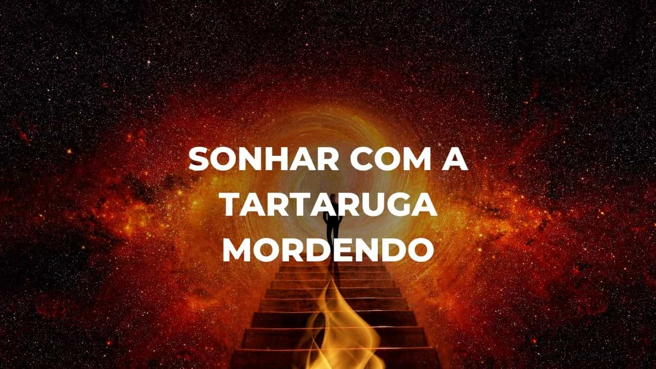 Sonhar com a tartaruga mordendo